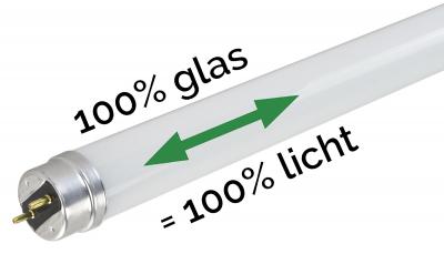 100% Glas = 100% Licht